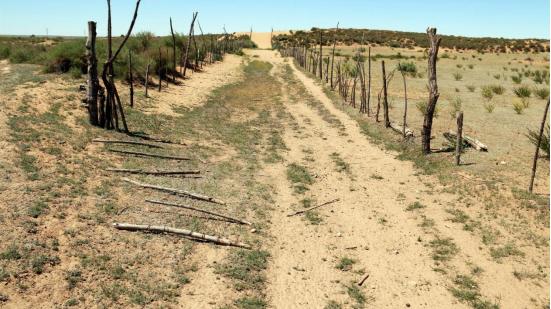 毛乌素沙漠|中国四大沙漠之一：面积比海南岛还大，80％沙漠已变成绿洲