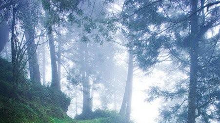 30个被人类遗忘的角落，遭遇大自然的反噬！