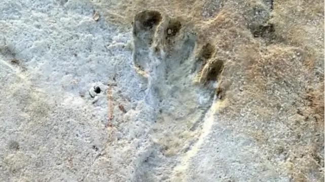 美国沙漠惊现1.2万年前远古人类脚印，下雨天出现，天晴却消失