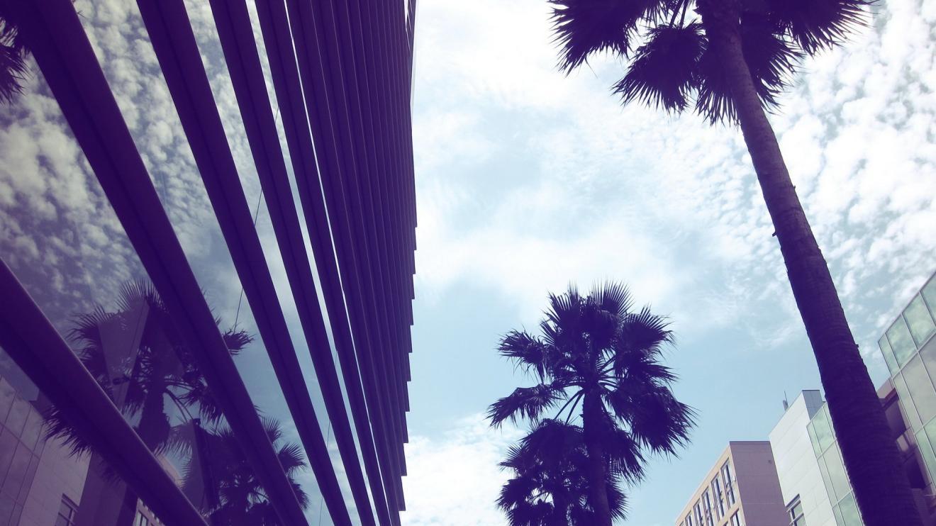 |老板说“我不得不接受”，或者，领导让你接替某个职务