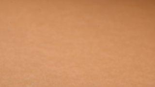 |和田玉麒麟把件