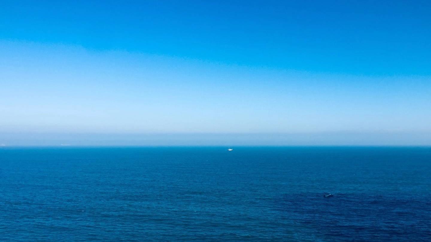 上海市|职场里为什么每个人都欺负老好人，只有一个原因，知道就能变强