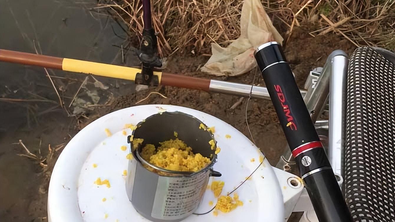 |打窝之后马上下杆，还是等许久再下杆？其中有什么差别？