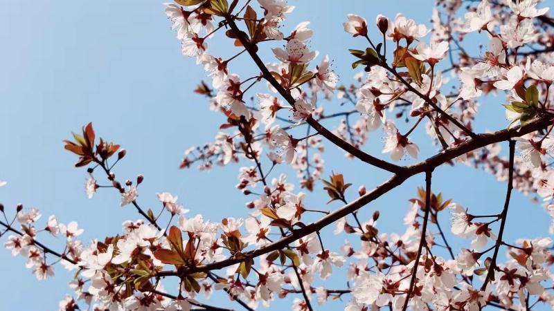 办公室|信任的基础是什么？