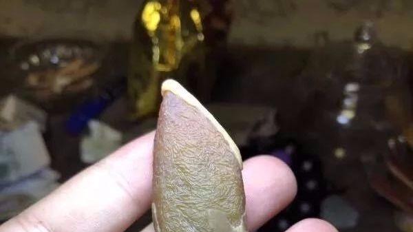 移动支付|早市1200淘的翡翠原石，做出收藏级作品，货主笑得合不拢嘴了