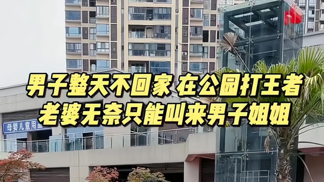 回顾男子婚后3年不回家，躲公园打游戏，被愤怒的姐姐一把揪起来