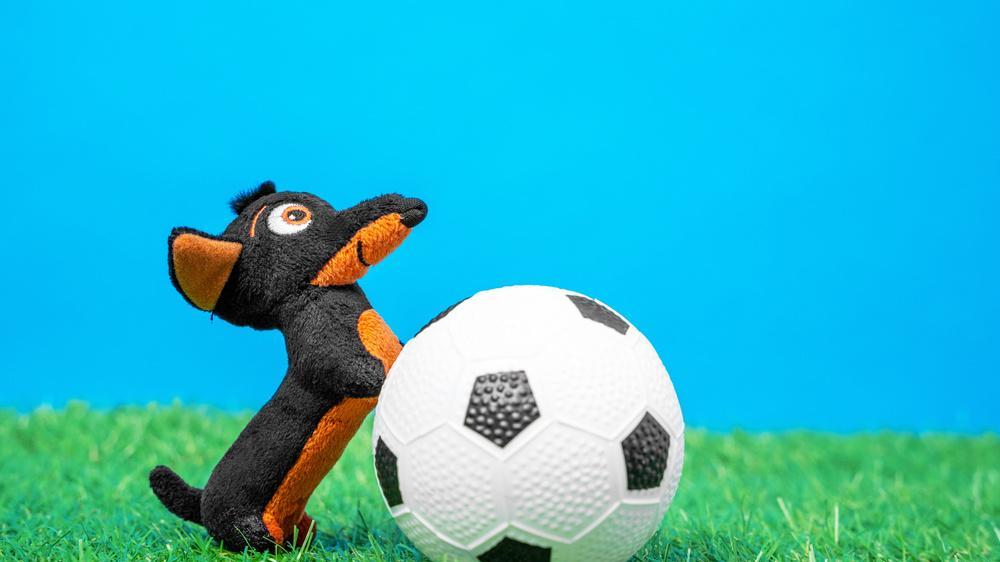 大学生|玩物丧志，这句名言在当今社会里说的还有道理吗？