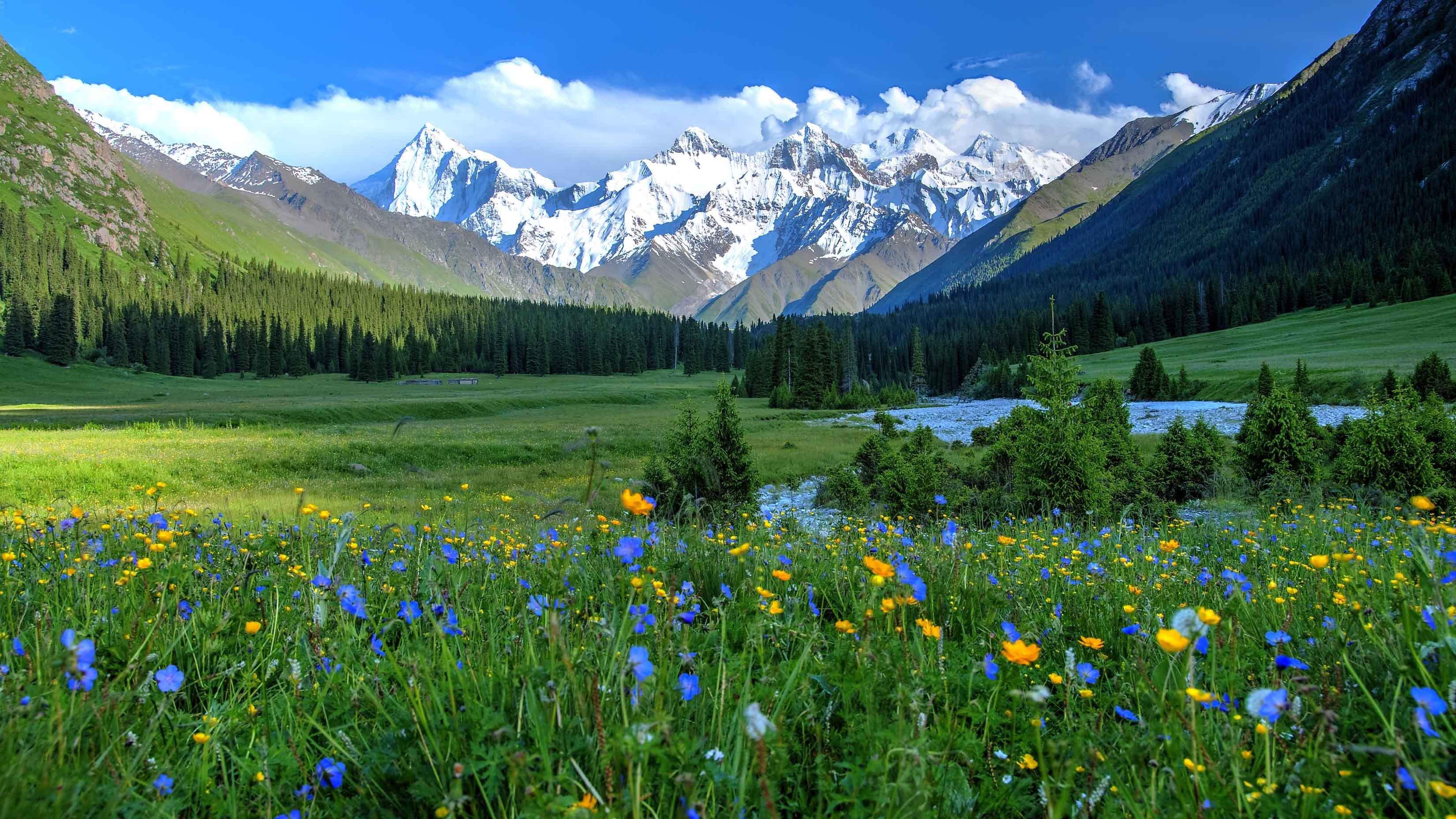 西藏|新疆巴音布鲁克景区值得去吗？
