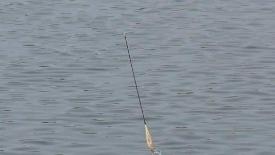 半半歌|当你学会调漂，离走空就不远了？关键点详解