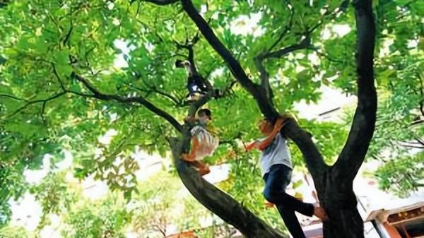 10岁孩子被勒索，敢怒不敢言：有时候糟糕的情绪和具体的事件无关