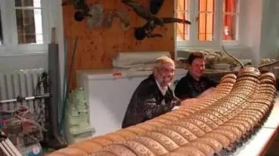 假如地球氧气增加一倍，会变化如何？人们骑着巨大蜻蜓?