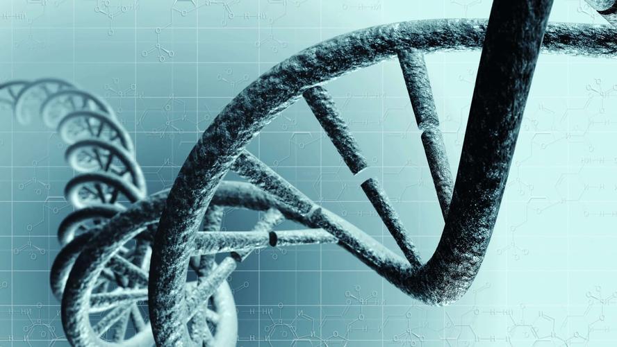 生物学和化学到底有哪些关系？