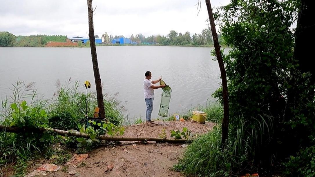 |为了几条便宜鱼，硬生生把自己送进了班房，钓鱼人的天堂遭破坏