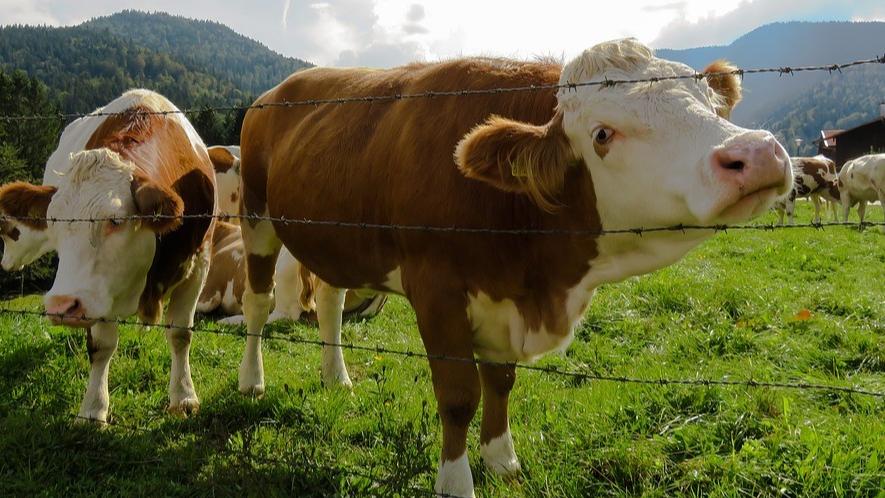 互联网时代|3分钟掌握互联网商业思维，赚钱难，是因为你的方法不对