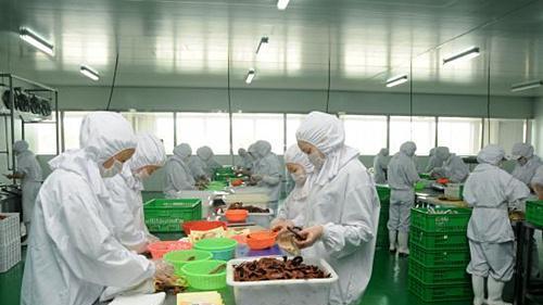 食品加工过程的微生物监控程序指南