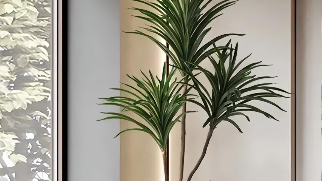 不同的风格绿植怎么选？绿植是客厅的点睛之笔，但是千万不要乱买