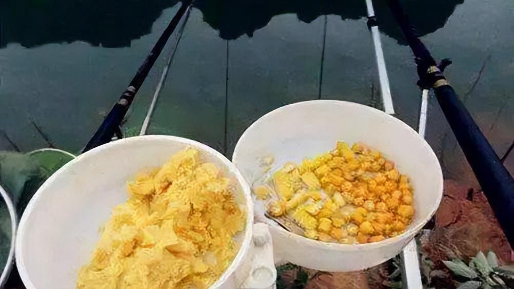 大板|用玉米钓鱼的优点和缺点？若是用对了，提竿就是大板鲫