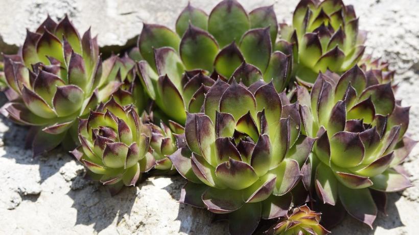 |2022年底将会有好事降临的星座，事业顺利，财运亨通