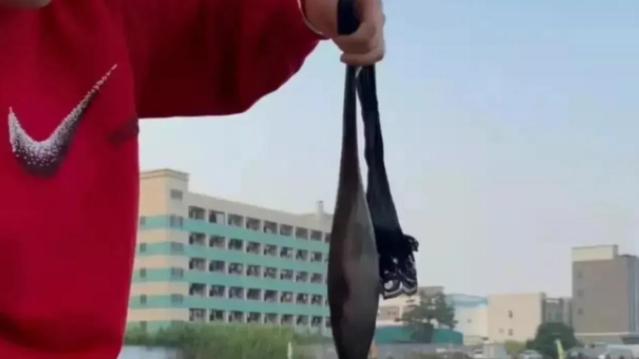 |钓友钓鱼忘记带鱼护，找女友脱了支丝袜装鲫鱼，好像真没毛病