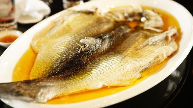 |白条鱼：曾让钓鱼深恶痛绝，殊不知它不是“小杂鱼”