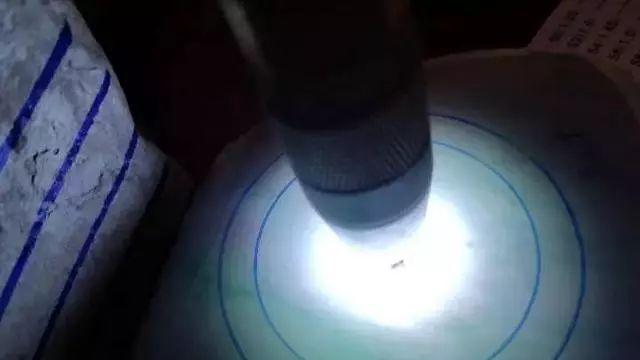 翡翠|9000块买下8公斤翡翠原石，意外切出10多条高冰金丝绿手镯！