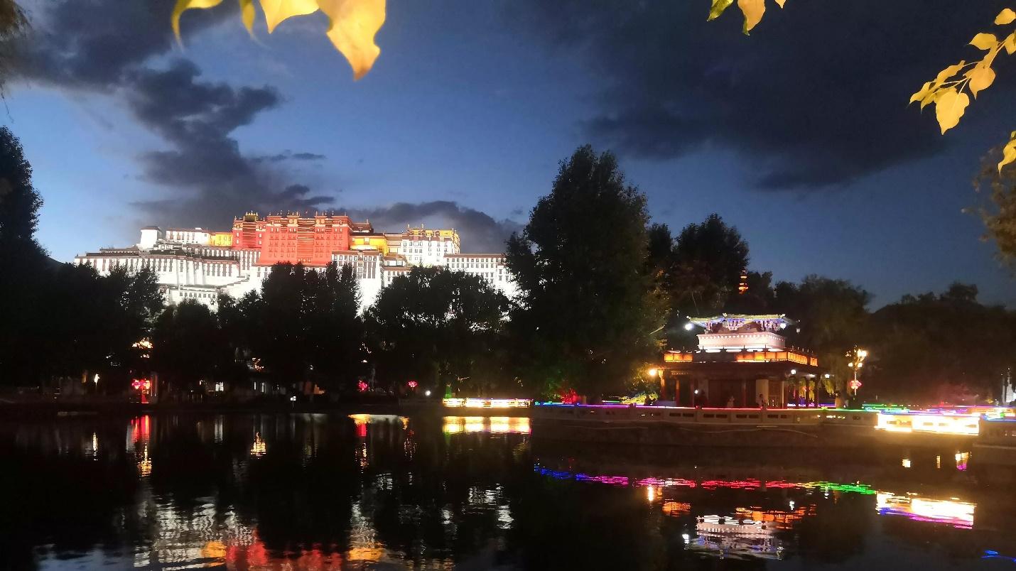 昭苏|西藏记忆之布达拉宫夜景