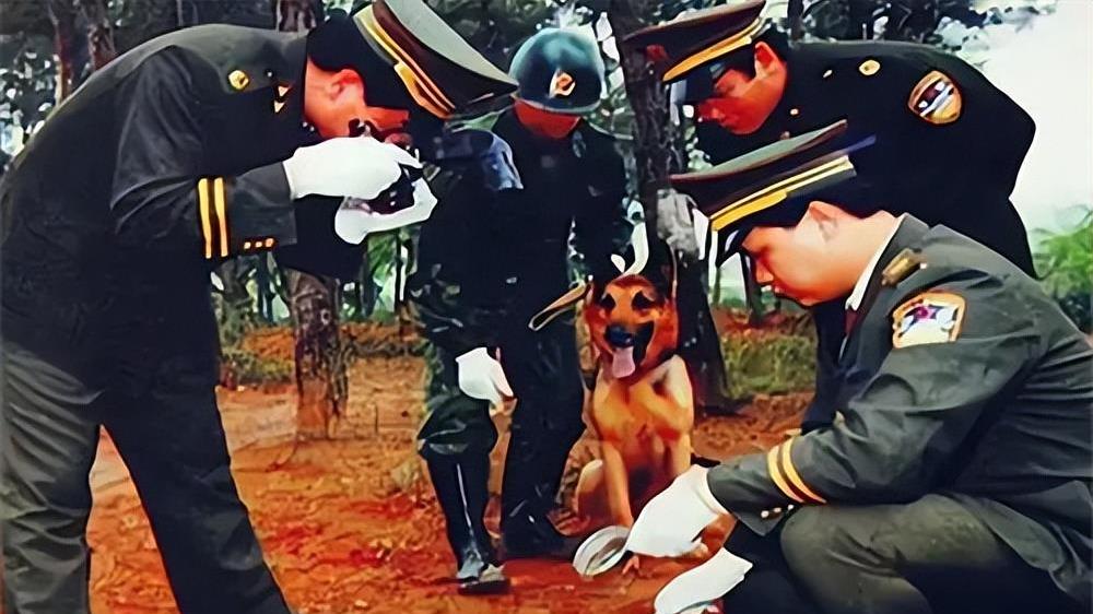 1998年陕西采花大盗王万明：21名女性惨遭毒手，最后一次却栽了