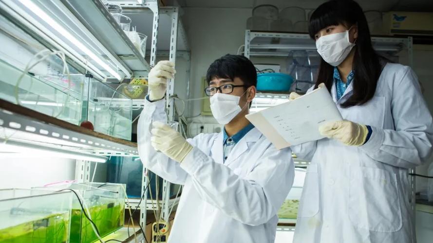 法学|这4个专业已“严重饱和”，缺乏就业优势，非佼佼者不建议报考