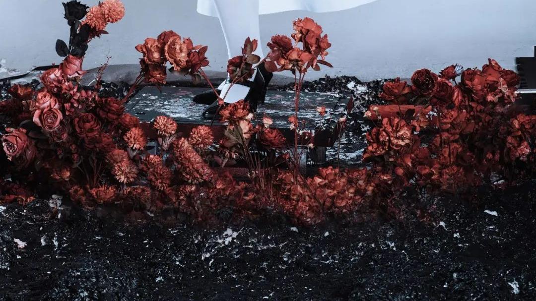 刘逸云|cos：龙背上的骑兵3cos正片@Amber_OrLan