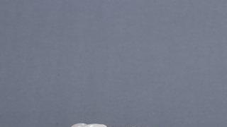 新疆维吾尔自治区|清代 新疆和田玉瑞兽雕件