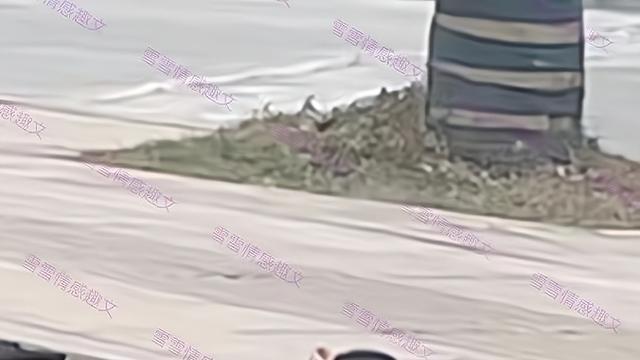 女子把积蓄转给陌生男子，夫妻闹矛盾，抱着孩子坐在路边晒太阳
