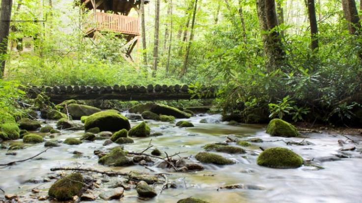 自由职业者|入职近一个月，自由职业者找到工作啦