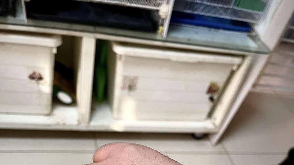 文玩|文玩佛珠手串你不知道的佩戴禁忌！无论是什么初衷都该了解下！