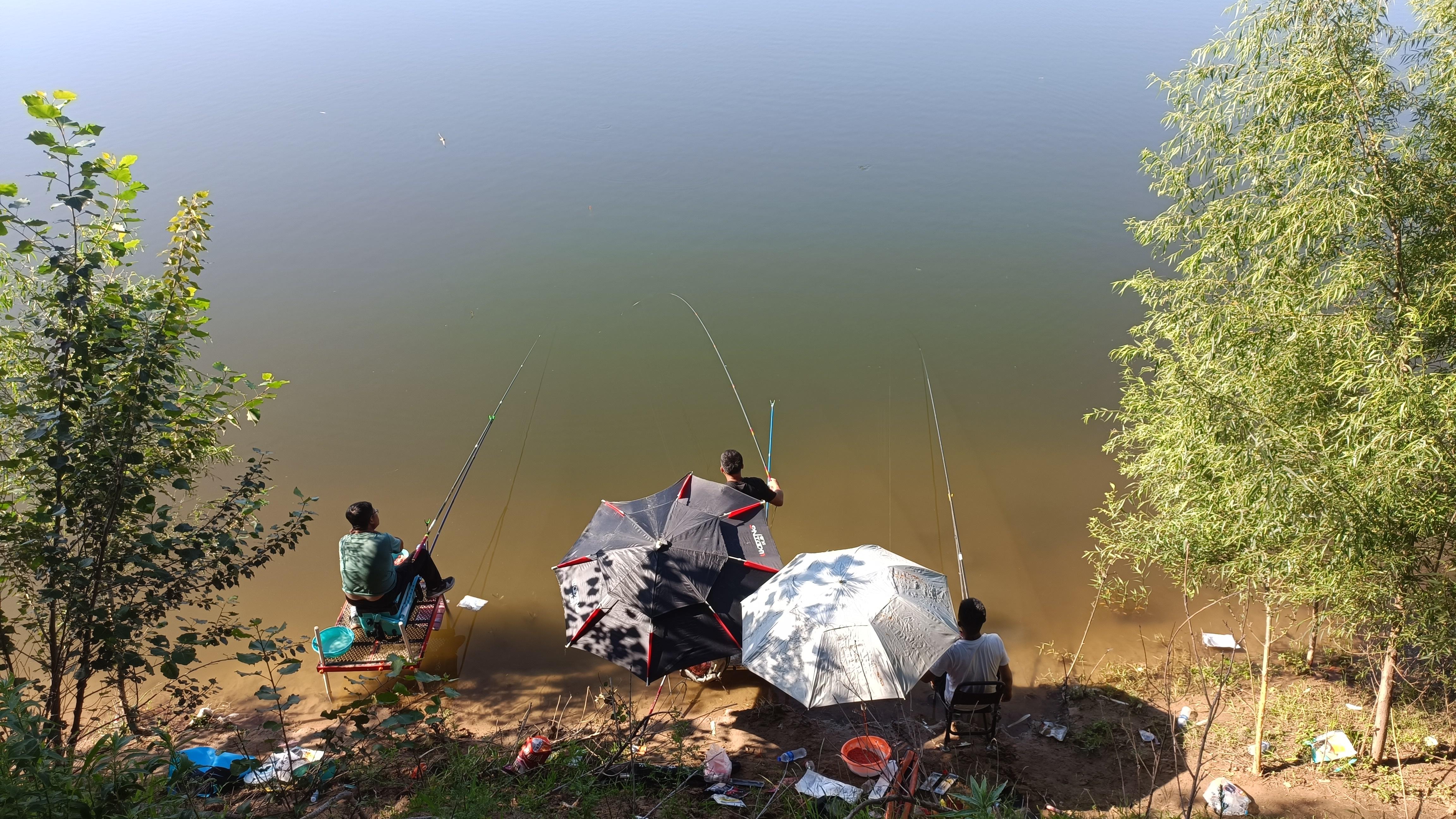 |初冬野钓，不怕天气冷就怕天气热，大板鲫能爆口的天气是这样的