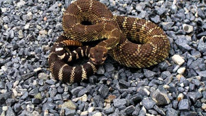 谁可能会是气候变化的受益者呢？