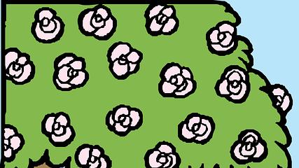 |在不断成长过程中我们会发现一些道理，也会有新的看法和感悟。