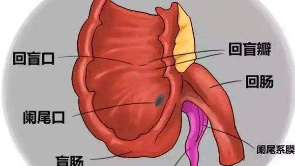 人类生理结构，其实有很多不合理的地方，有办法优化它吗？