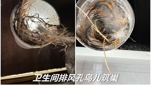 听劝吧，装修时再缺钱，也不要在这几样“小建材”上省钱