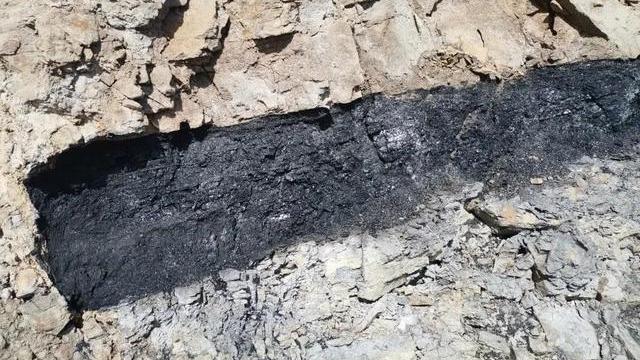 上百米厚的煤层，是怎么形成的？化学、物理作用缺一不可