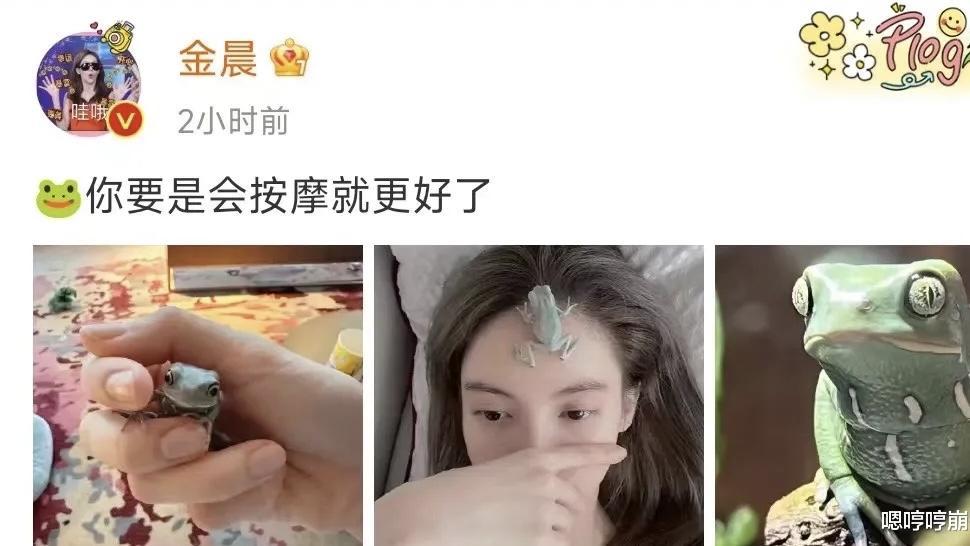 金晨|金晨，胆子太大！