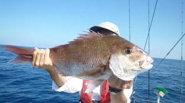 解缙|越来越多人青睐海钓，钓鱼的旅行之旅，海钓安全可能殃及生命