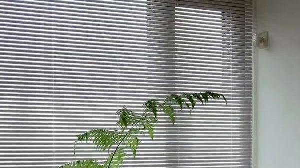 室内装修设计中百叶帘真的值得装吗？