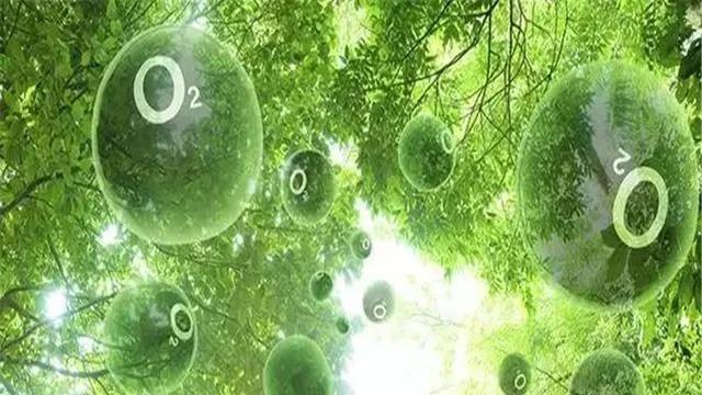 氧气是慢性毒药？这是为什么？科学家告知背后原因！