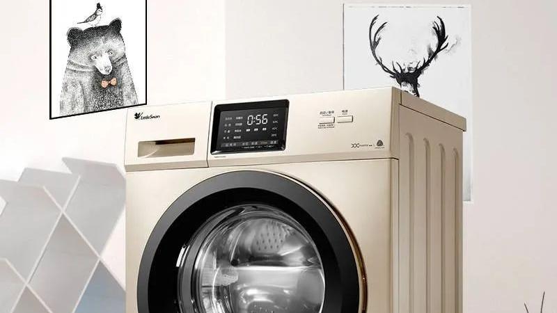 我们都拥有的洗衣机，用到什么样的电机？