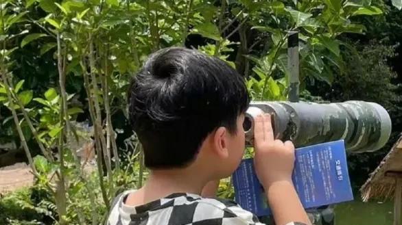 林志颖|林志颖发文庆祝双胞胎儿子生日！晒兄弟俩背影照，身形完全不同