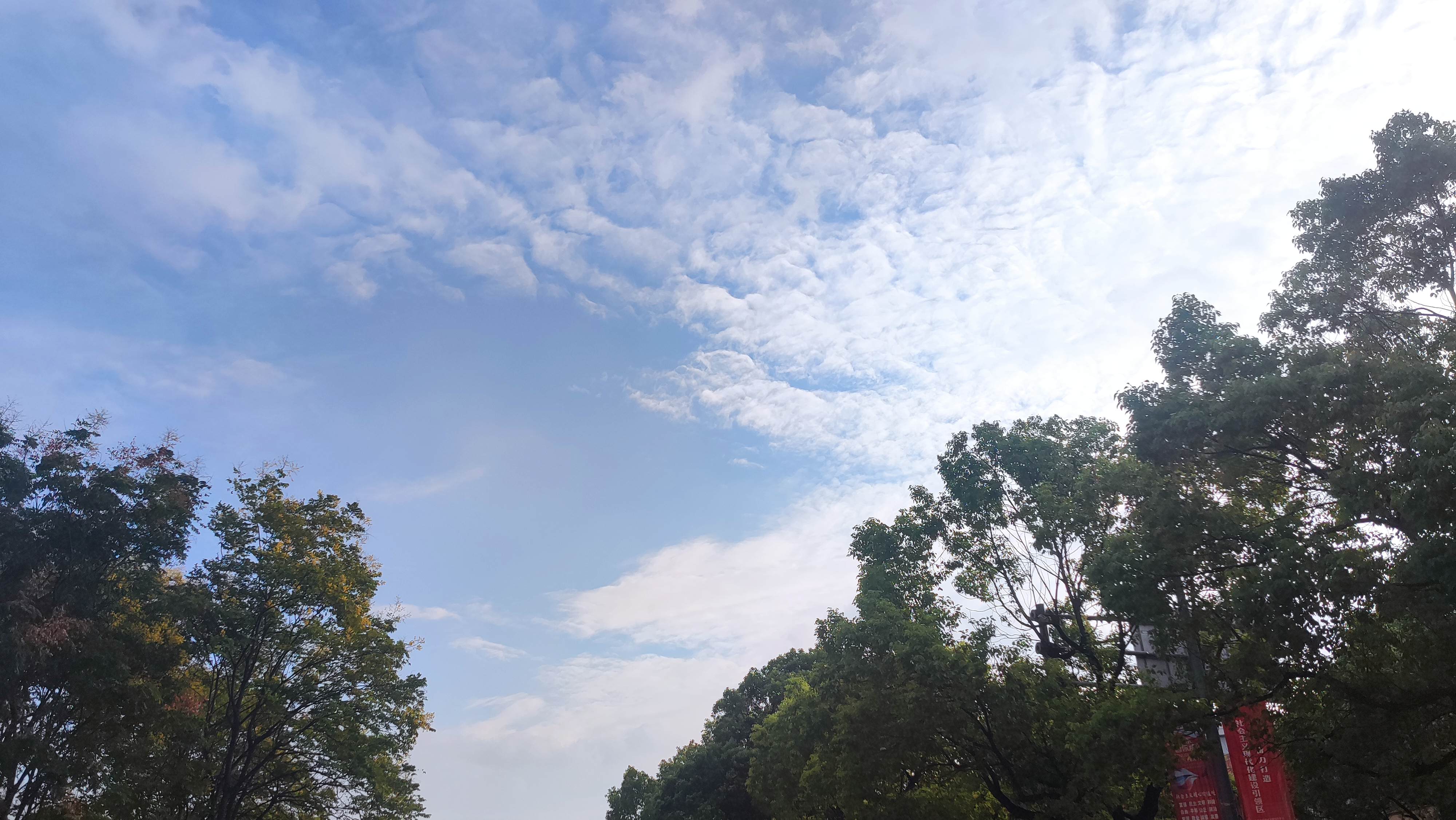 |人家可是妥妥的“明白人”，不会愚蠢到砸了自己的饭碗