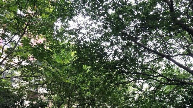 房价|房地产迎来新拐点！空置率高达30%，未来房价或超出想象