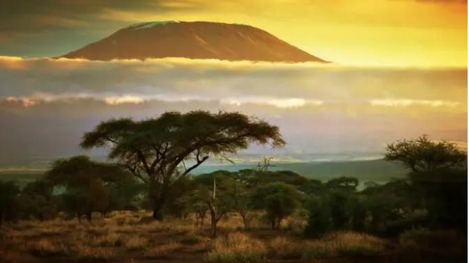 云顶高原|肯尼亚，是一个美丽的国家，有茂密的森林和野花盛开的草原