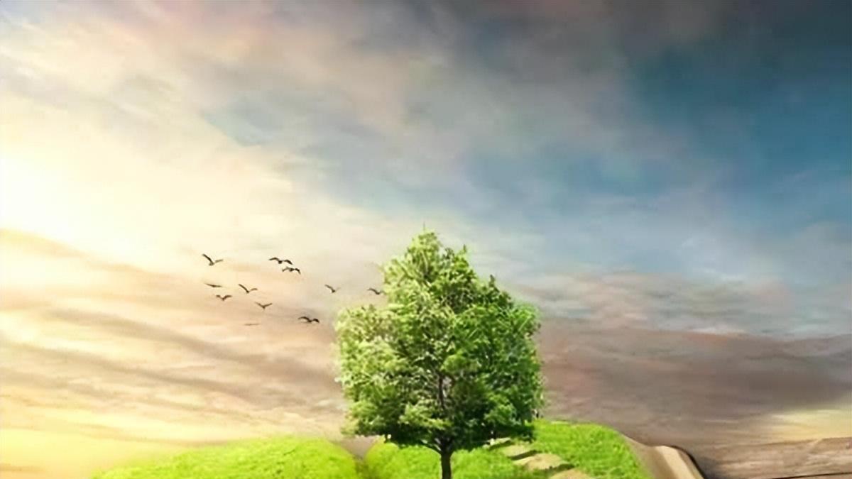 招聘|12条重要的人生经验