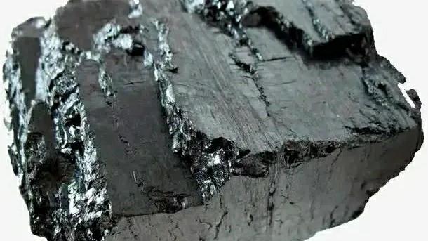 煤炭是矿石？对植物成煤说持否定态度的人，其实是犯了形而上学的毛病